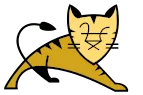 Tomcat Tomcat